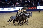 Quadrille - 00857
